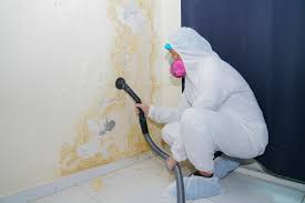 Best Mold Remediation for Healthcare Facilities in Winchester, MO